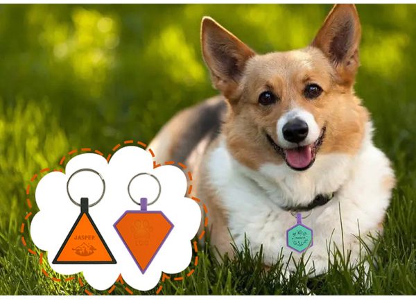 Customized pet name tag