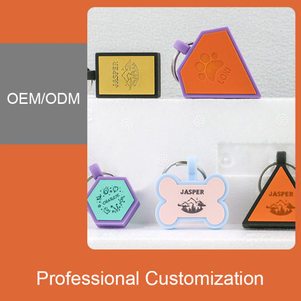 Customized pet name tag