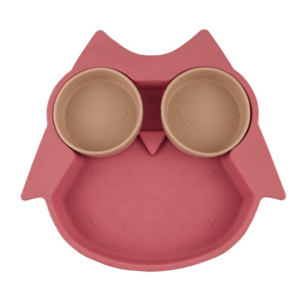 Owl children's dinner plate