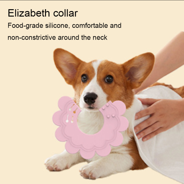 Pet Elizabeth collar