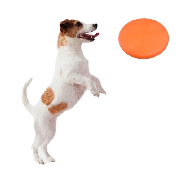 Silicone dog Frisbee toy