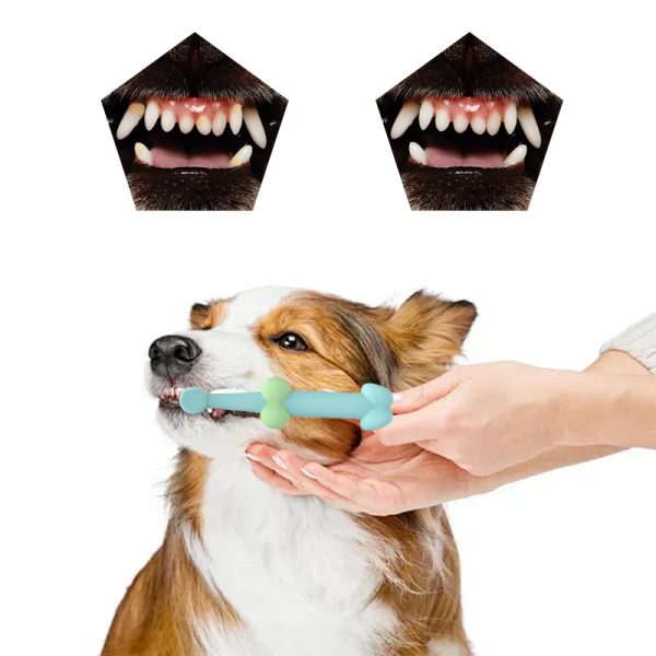 Silicone pet toothbrush