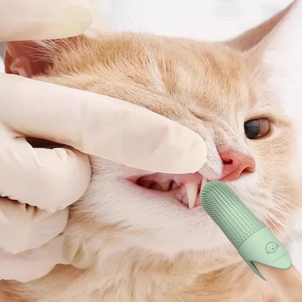 Silicone pet toothbrush