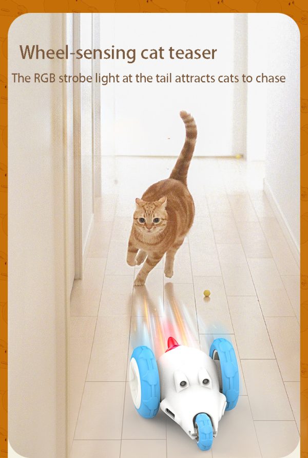 cat teaser toy