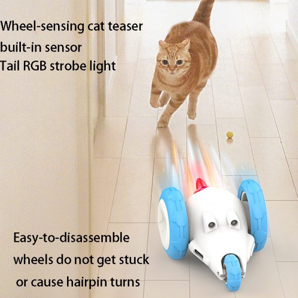 cat teaser toy