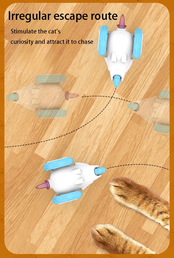 cat teaser toy