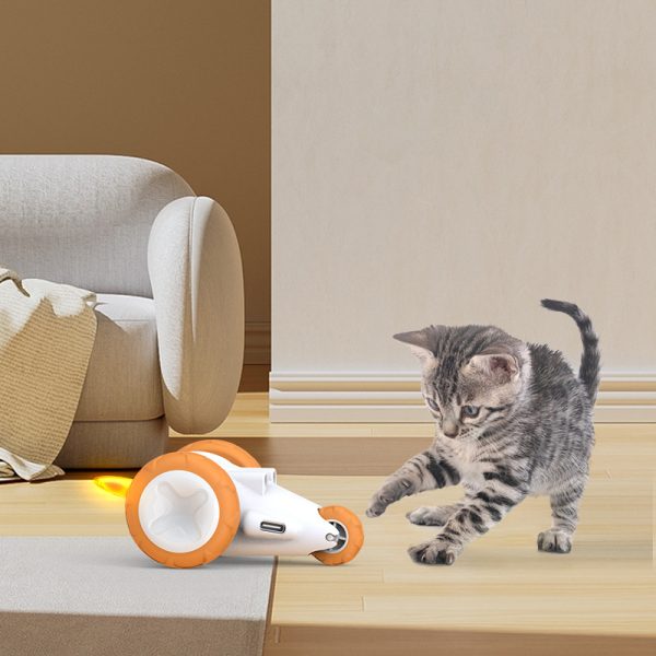 cat teaser toy