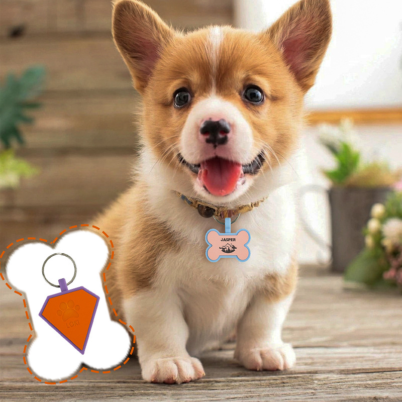 Customized pet ID tags in various geometric shapes like bone, triangle, and hexagon with engraved names for dog and cat safety.